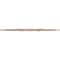 Ekena Millwork Daisy Wood Fretwork Pierced Ceiling Medallion, Red Oak, 38"OD x 12 1/2"ID x 3/8"T CMWP38X38X0375DARO - alternate 4